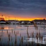 Report: Climate Change Threatens Wildlife, People of Chesapeake