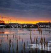 Report: Climate Change Threatens Wildlife, People of Chesapeake