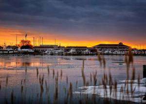 chesapeake bay