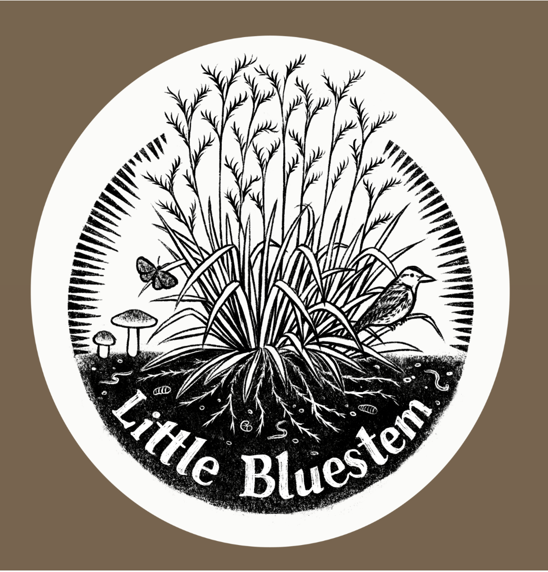 Logo with title written on the soil below a grass plant with a bird, mushrooms, and a butterfly near it. Black and white sketch in a circle with a brown frame
